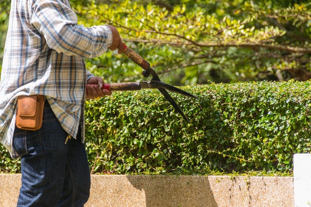 Garden Maintenance Great Bookham, Little Bookham, KT23